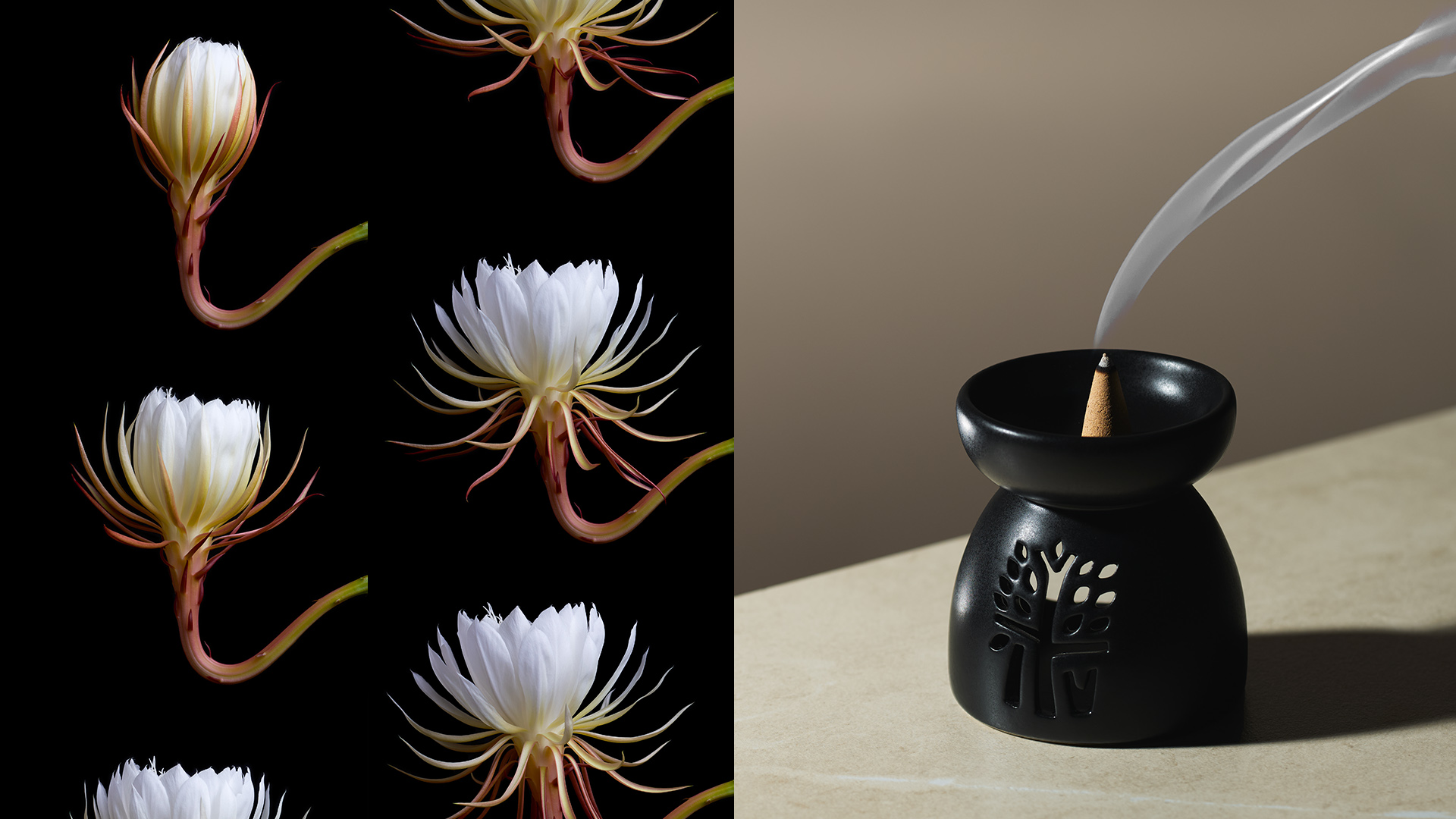 Night Queen Incense by Banyan Tree Essentials